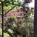 Prenociste 