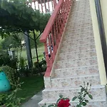 Prenociste 