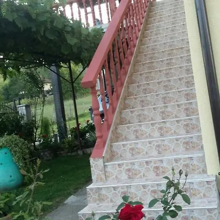 Prenociste 