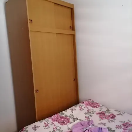 Prenociste 