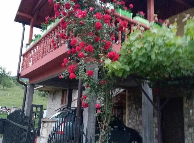 아파트 Prenociste 